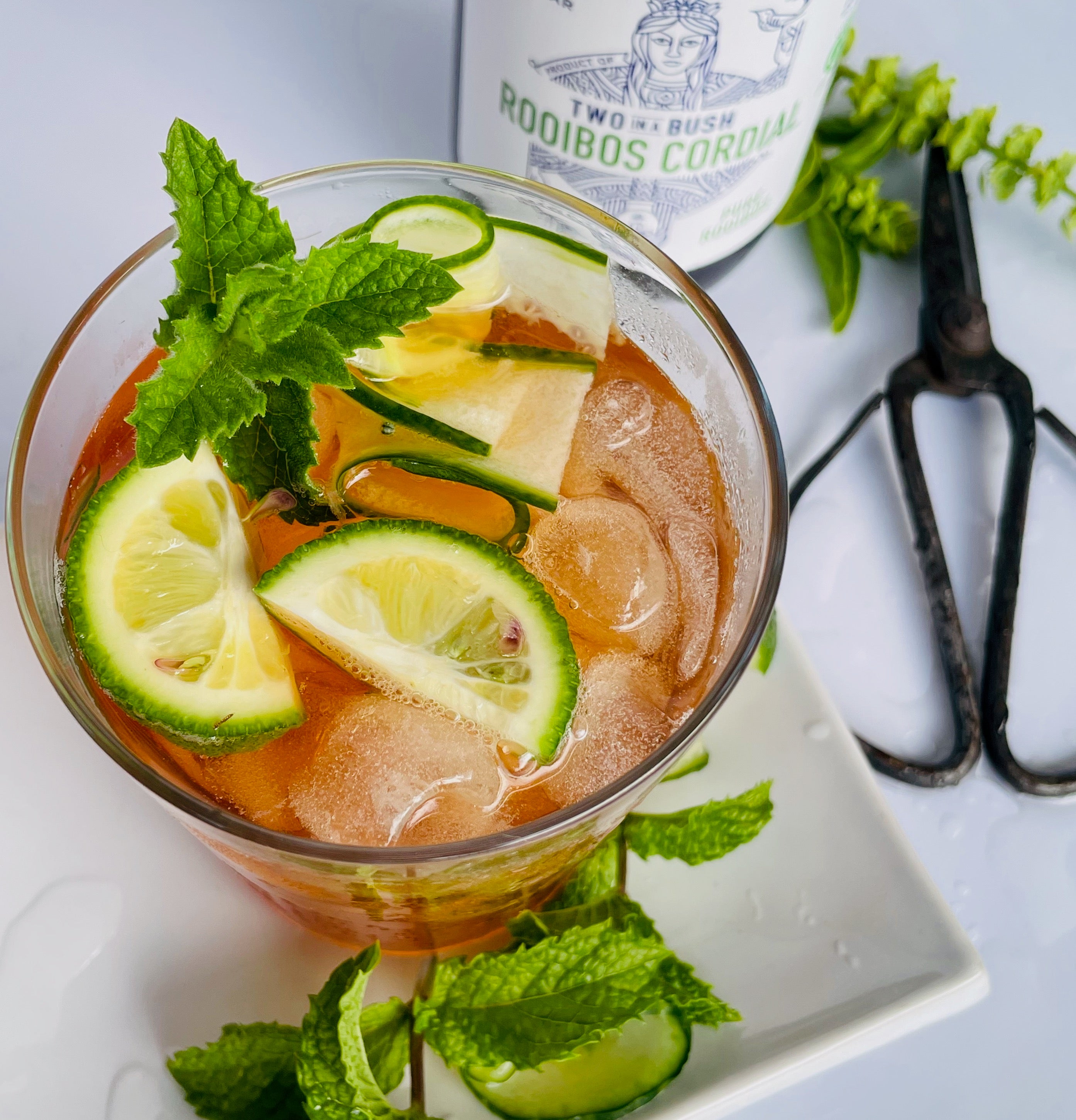 Two in a Bush Pure Rooibos Cordial | 500 ml