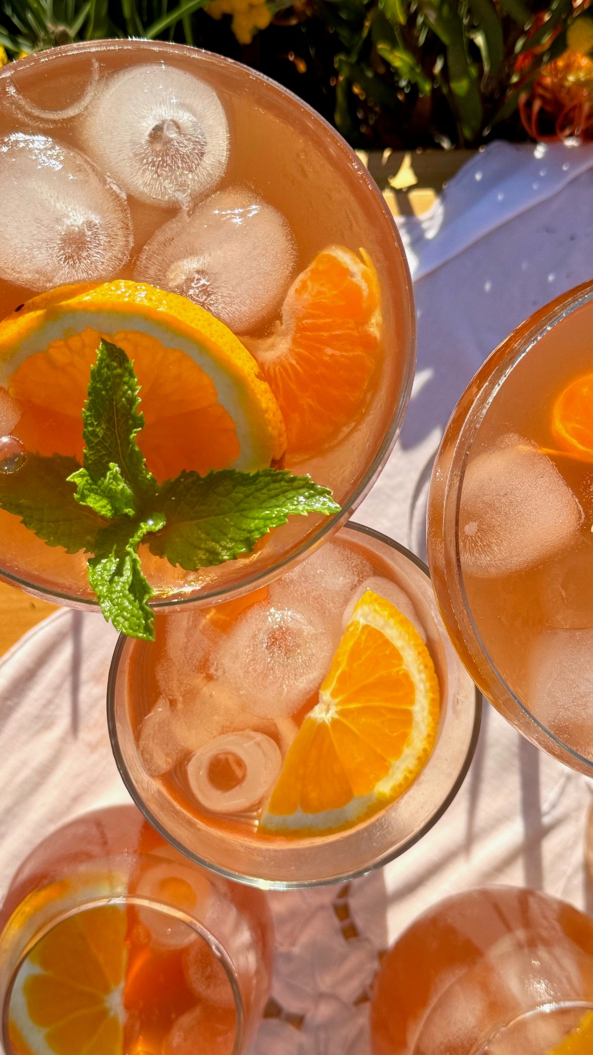 Two in a Bush Citrus Rooibos Cordial | 500ml